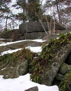 Megaliths and Flower Gardens Image